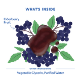 Elderberry Syrup