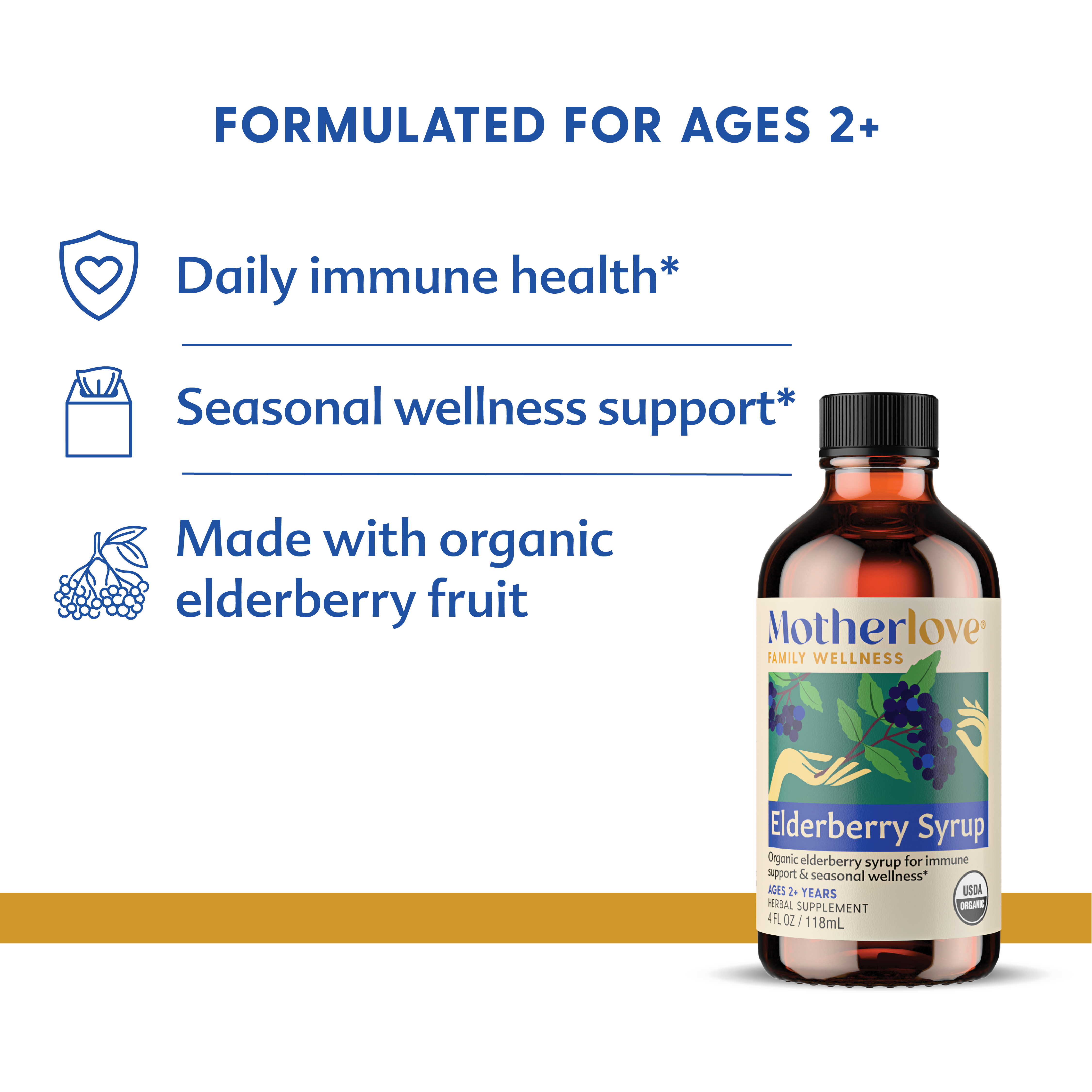 Elderberry Syrup