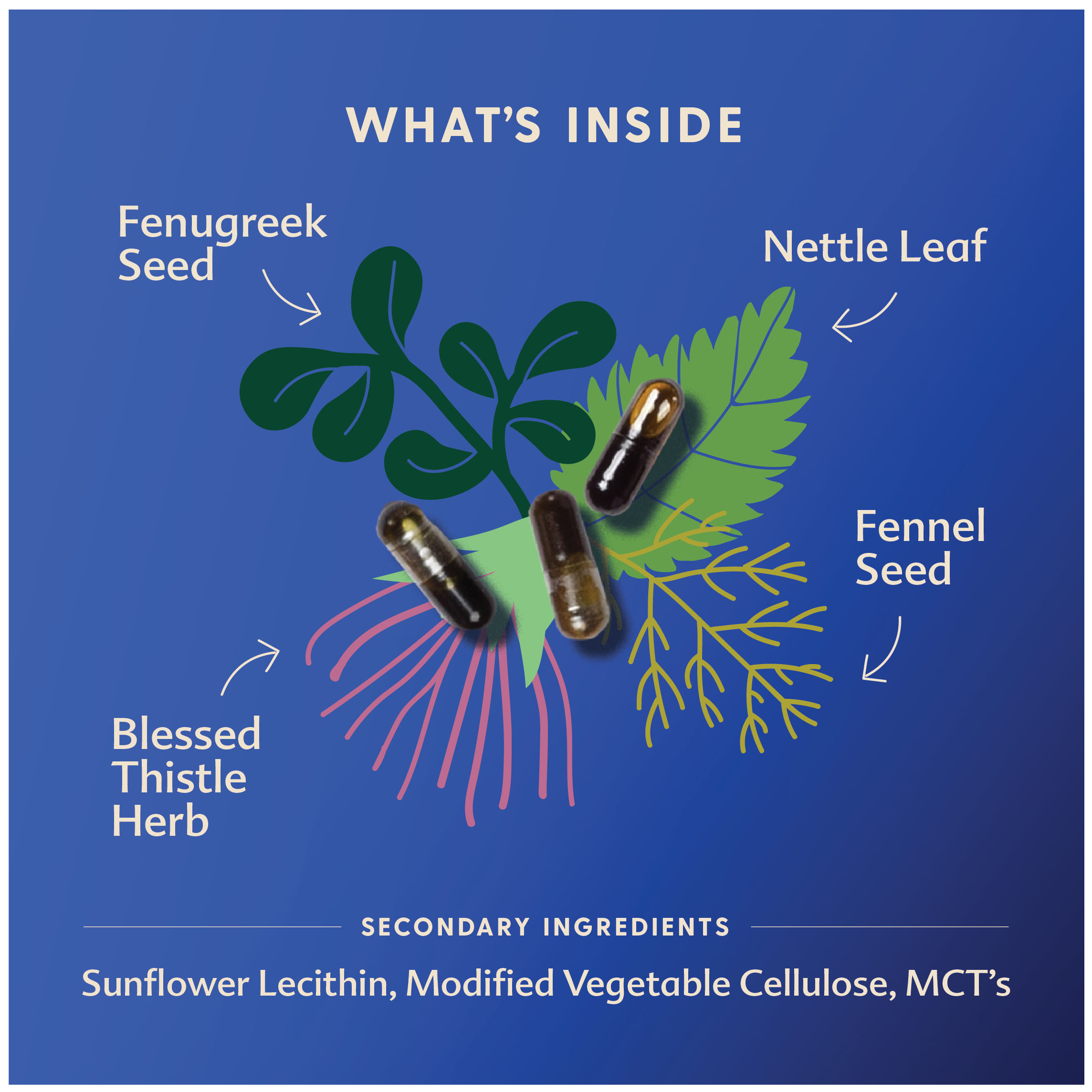 More Milk® Plus Capsules