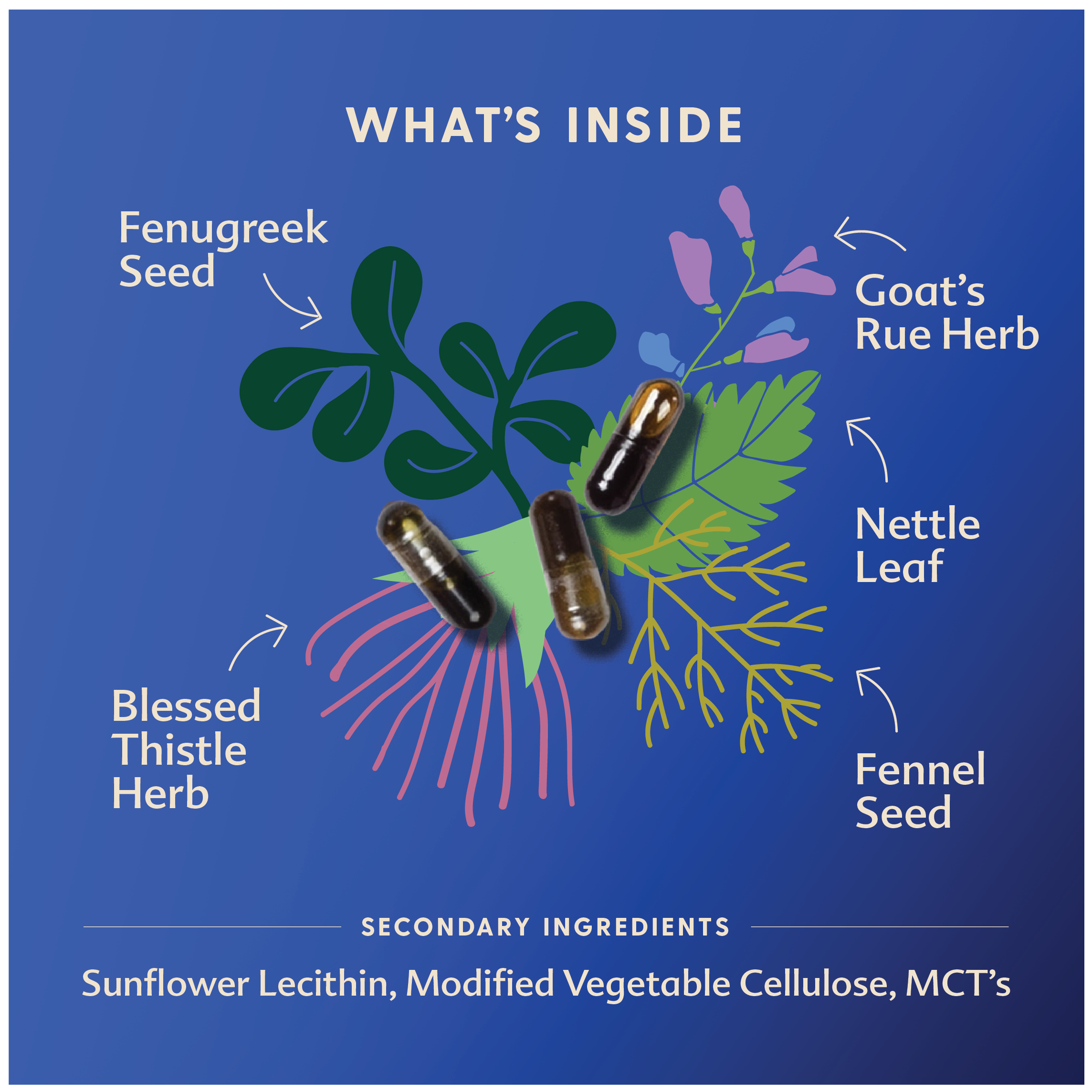 More Milk® Special Blend Capsules