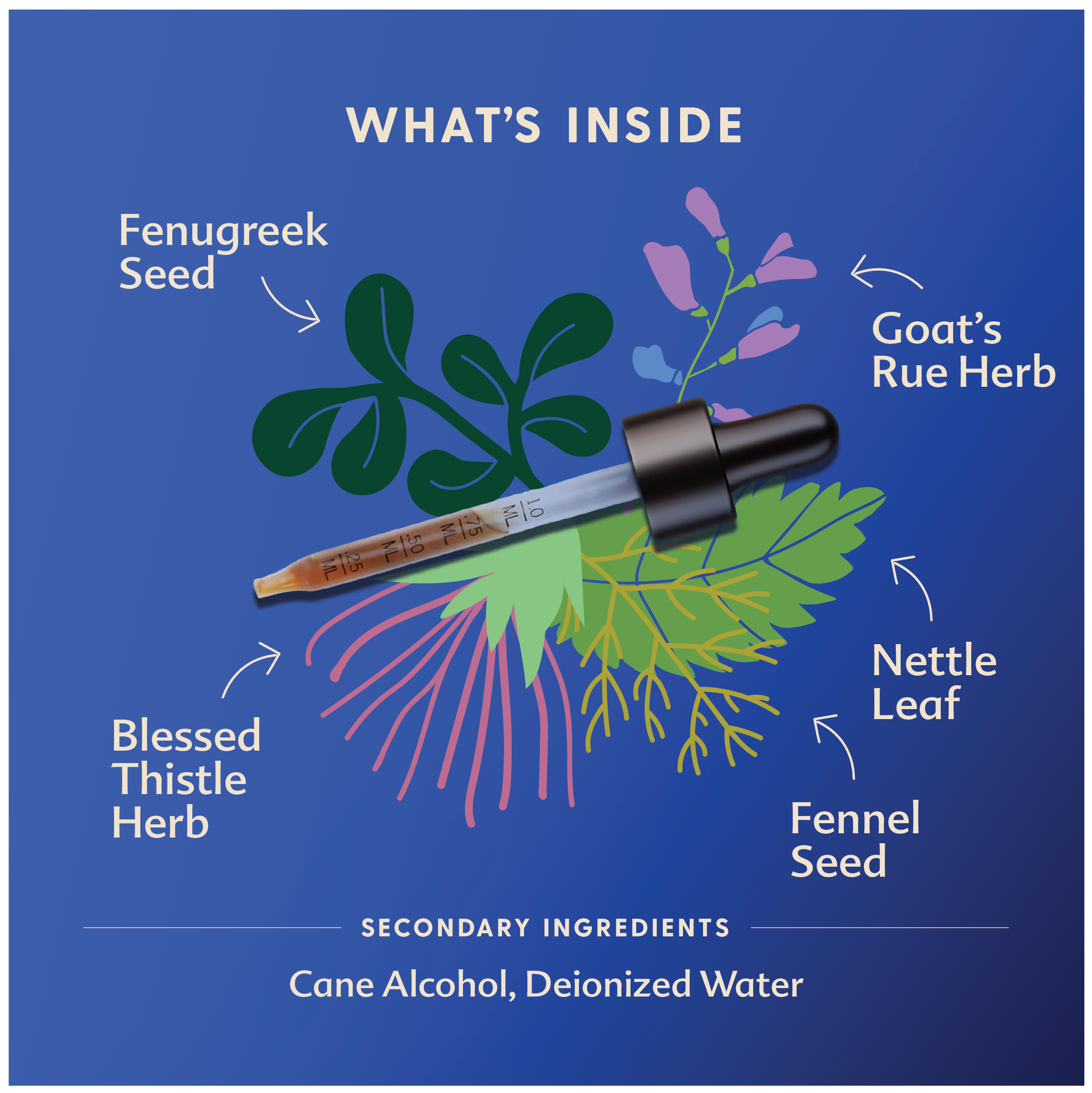 More Milk® Special Blend