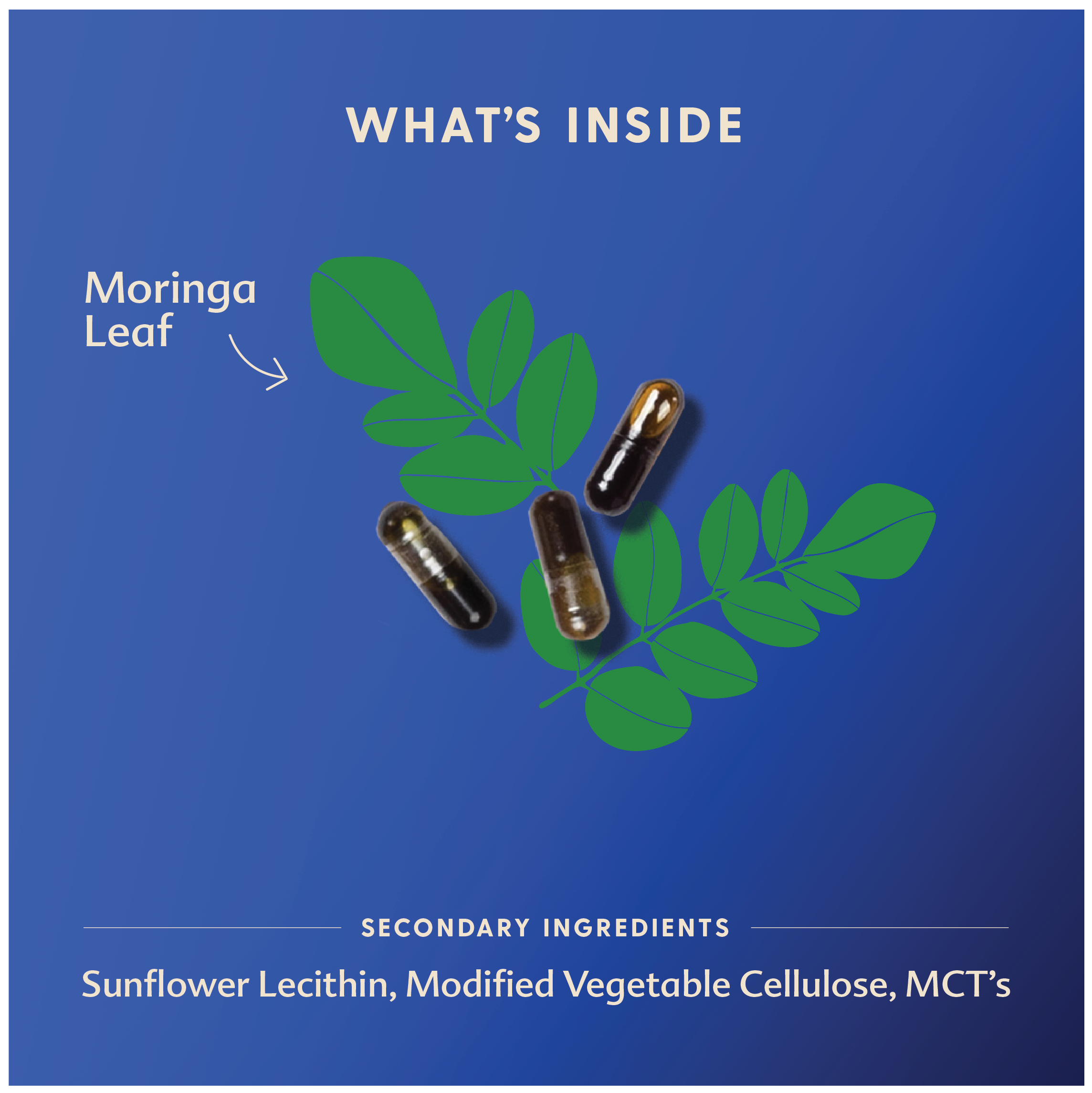 Moringa Capsules (Malunggay)