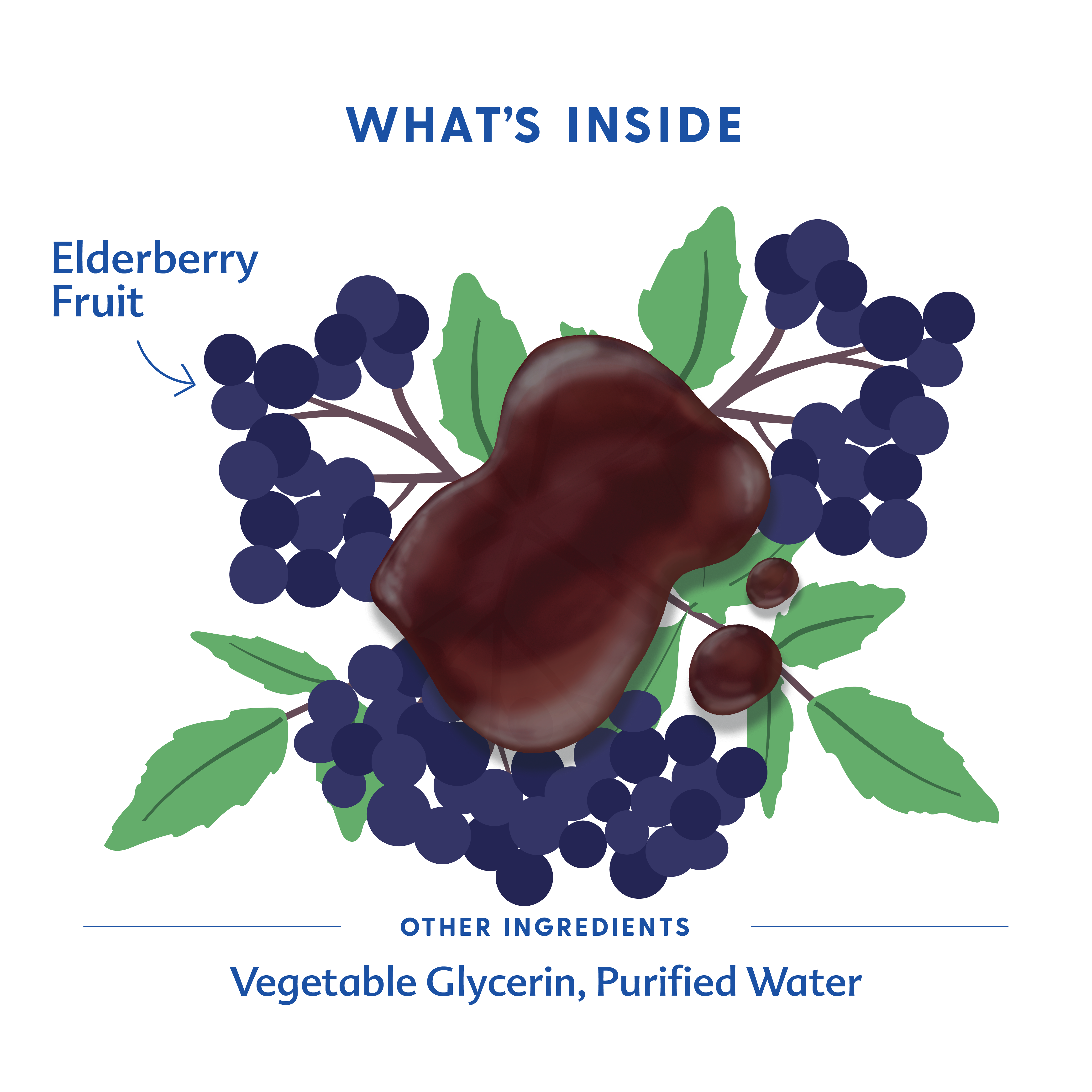 Elderberry Syrup