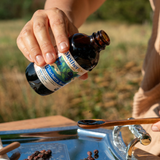Elderberry Syrup