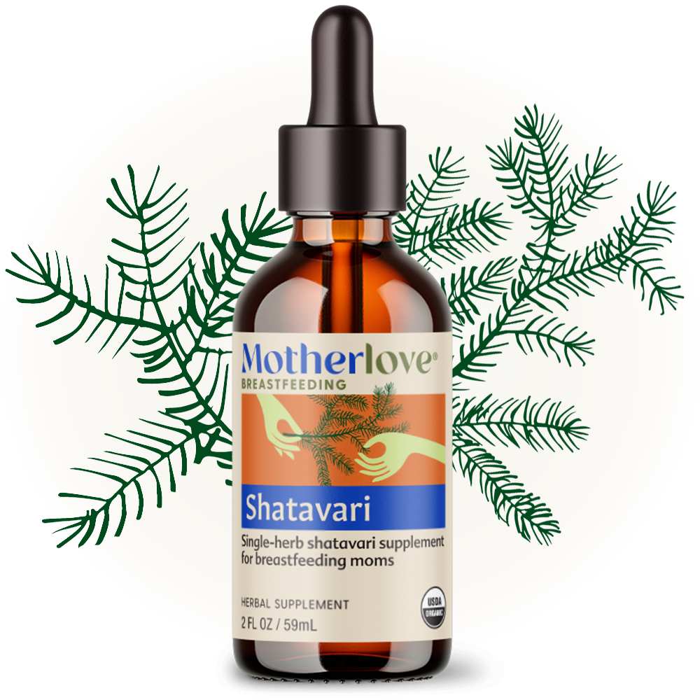 Shatavari - Tincture
